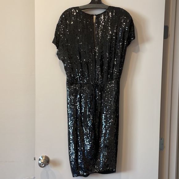 Haute hippie size large dress - Picture 2 of 2